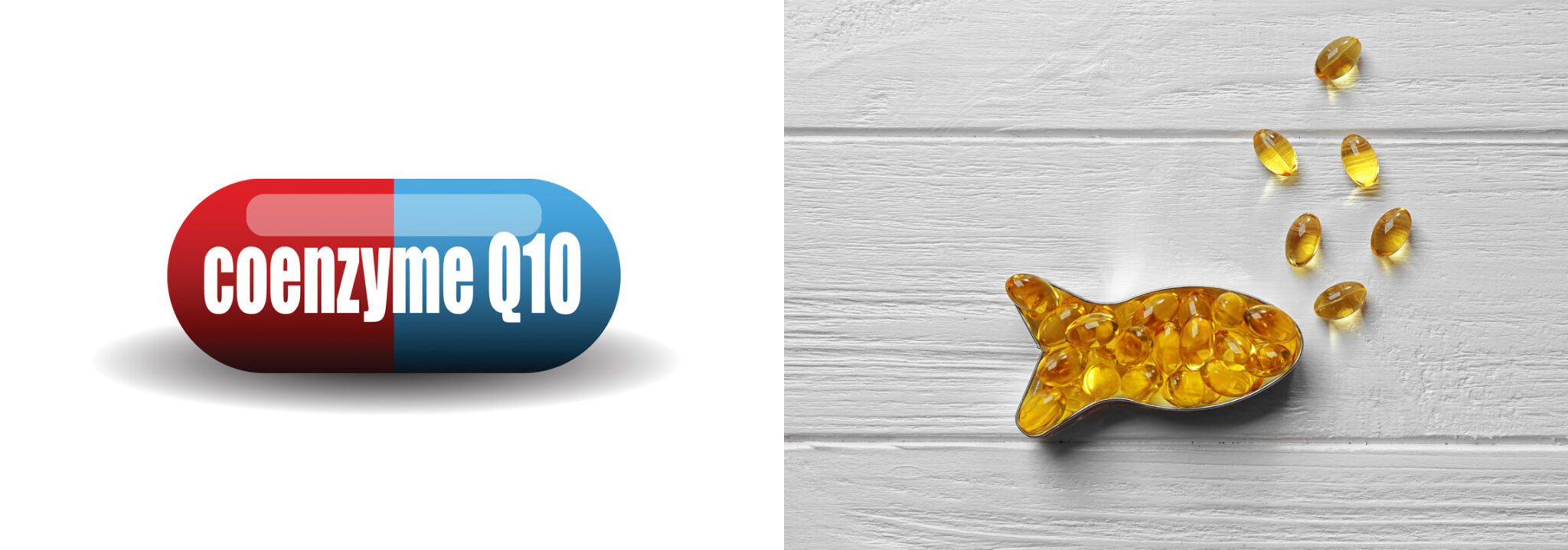 CoQ10 vs. Fish Oil: Choosing Which is Right for You