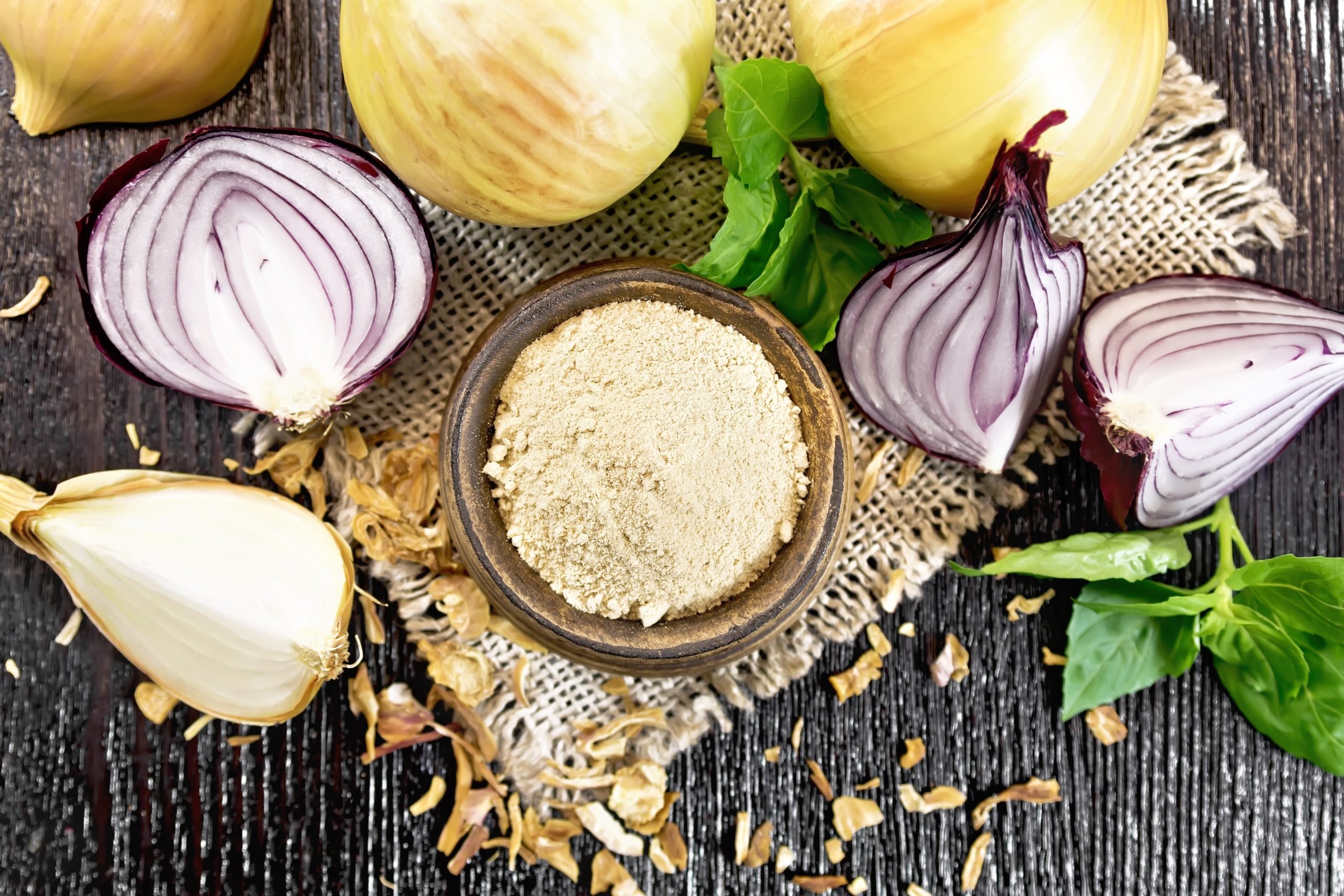 Onion and onion powder in a bowl.